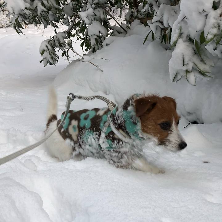 Bdaad44b e555 4c8f b432 59317e0f8454 1516661126257