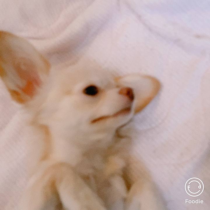 Bdab1d75 4883 4ed5 9797 9d3883dc874b 1599943916844