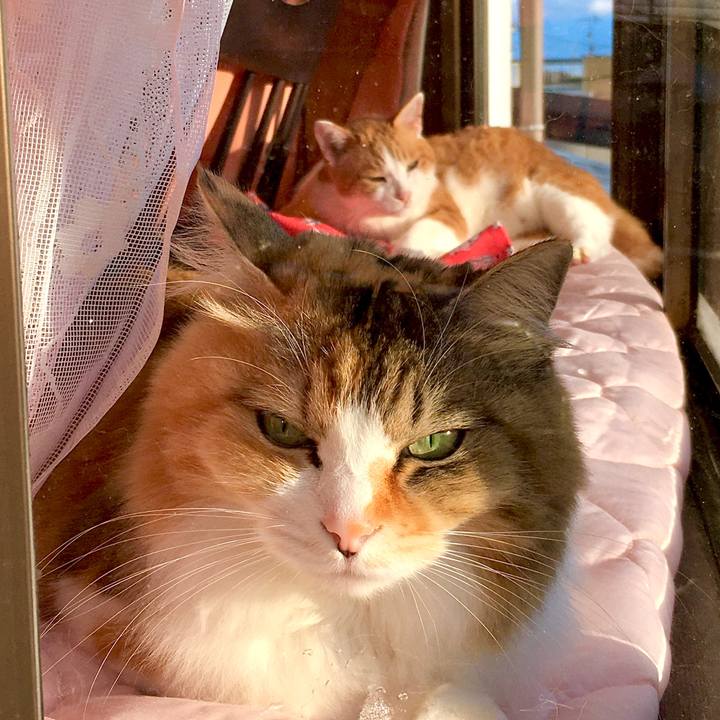 Bdab2090 2a94 4f2c 8ab1 134584d4ab0a 1577869007130