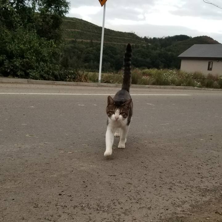 Bdab2fad bb5e 4d17 bc11 8023cac0812c 1600779537269