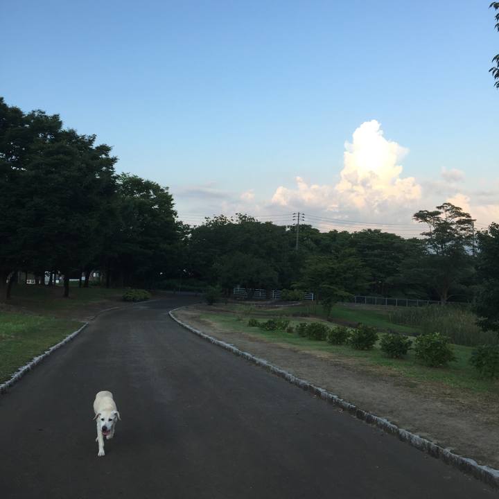 Bdab35f3 9bd2 44f5 b82a 14690d54d831 1561464958363