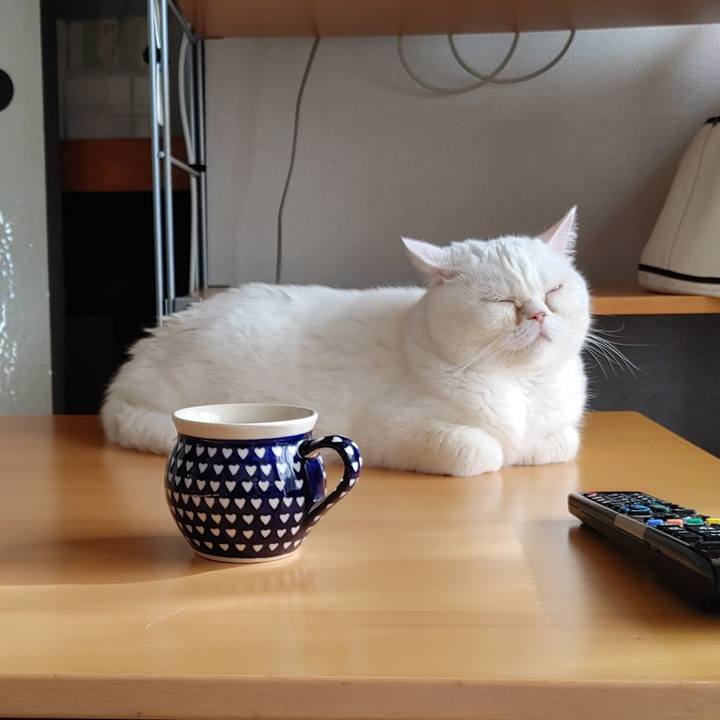 Bdab5f68 39bb 410b be3b c8ed7b514a89 1668556474322