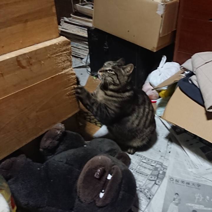 Bdab6b9d eaa7 43e6 8432 5587dc51e6dc 1655210384799