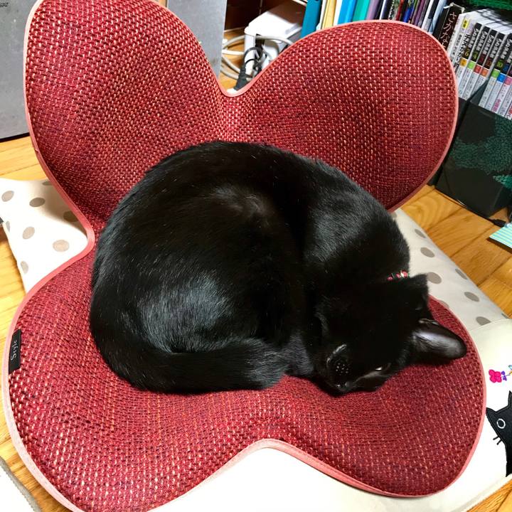 Bdab929d ce6f 4686 9c0a 163d05c122fd 1540474828666