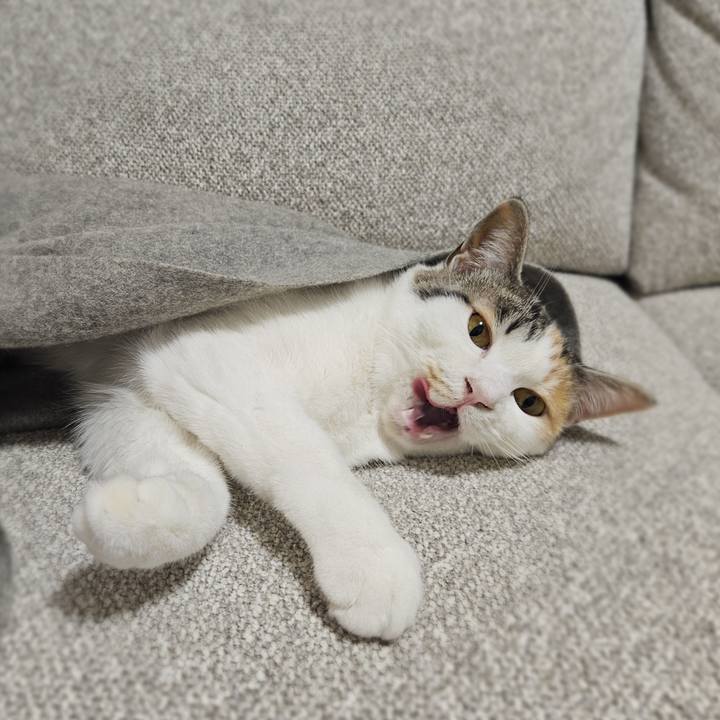 Bdabafcb 8b77 4b47 8d49 d7142acbc0f5 1773204705559