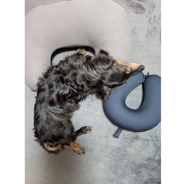 Bdabdab7 8f1c 45a5 9d67 dcd16774143d 1765523306344