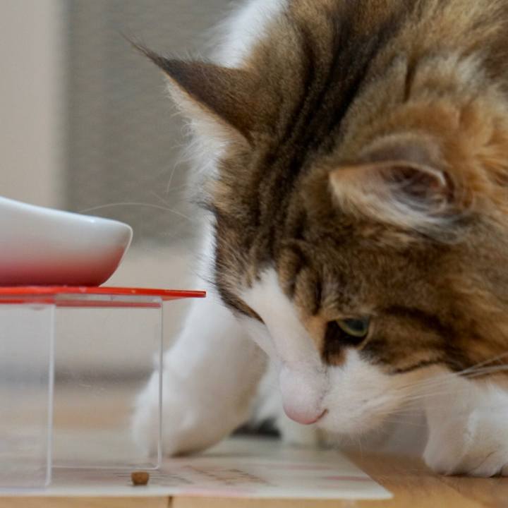 Bdabe811 4117 4928 880d 3b371169260e 1553605629865