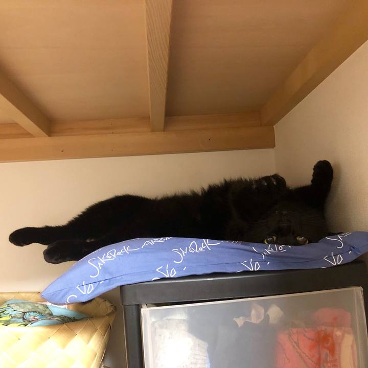 Bdabf7f7 d847 47f6 99e6 8f2b88deb470 1558022571109