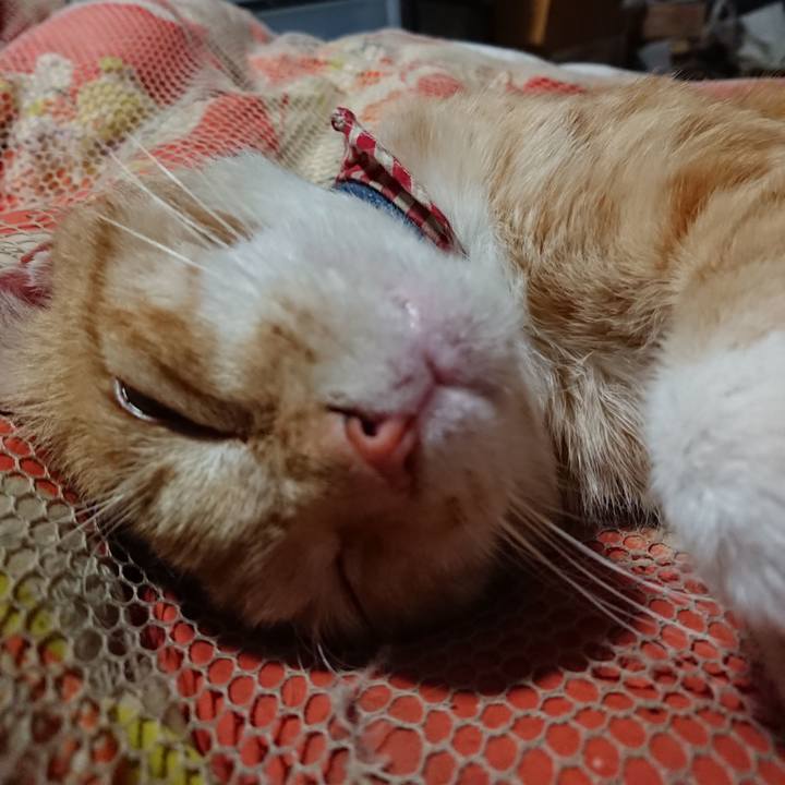 Bdac2a1f 210e 47af bc15 bd1f53bb0cd4 1560082791744