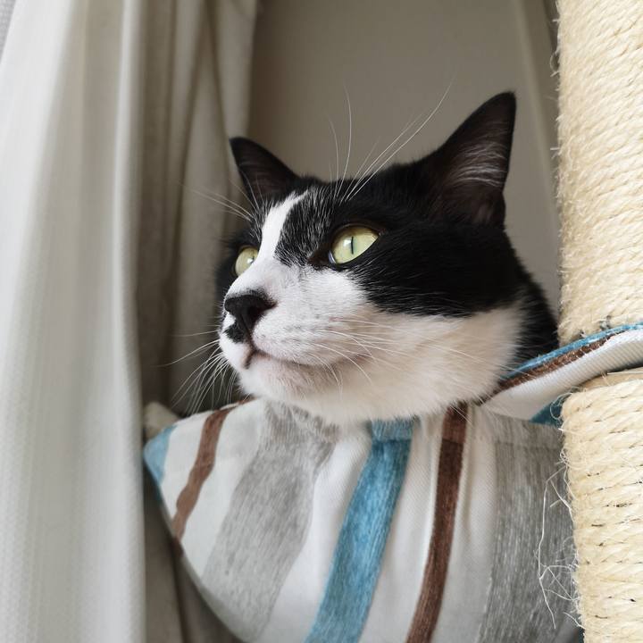 Bdac2e41 e01c 4a67 b576 9febc5eedb15 1539347361928