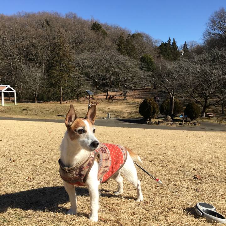 Bdac2ef0 42b5 4488 8d2c d85a97a3d626 1612135729154