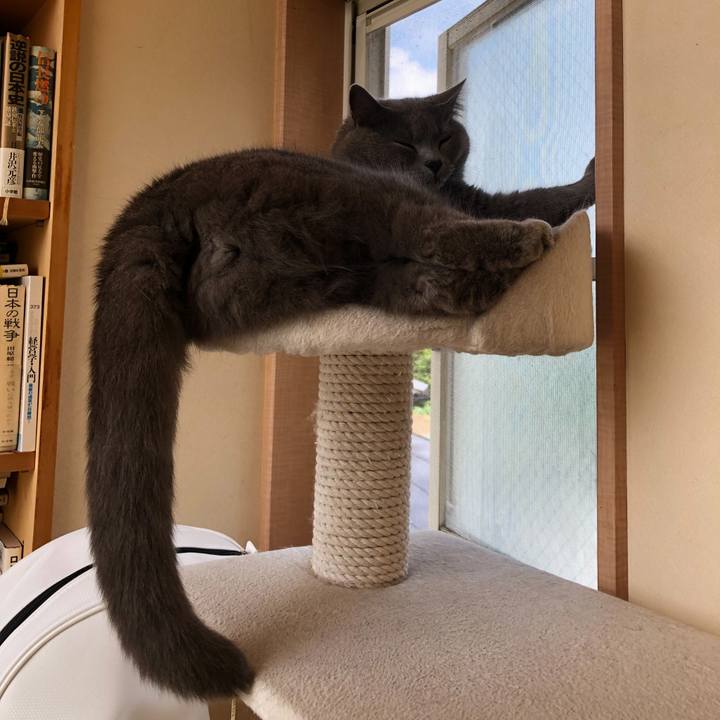 Bdac3b6d b60d 4275 86ba 466a3a107adb 1623806806376