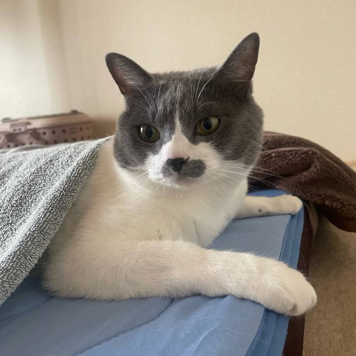 Bdac4151 1677 40da bdbe 0647dcd88f14 1690066127873