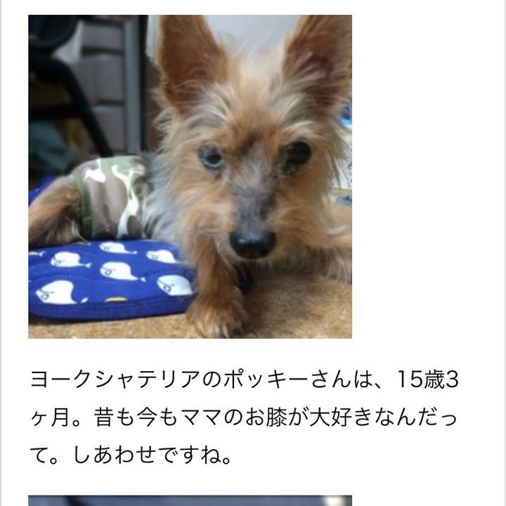 Bdac6278 5012 4152 b674 5e83fe413a99 1513201312689