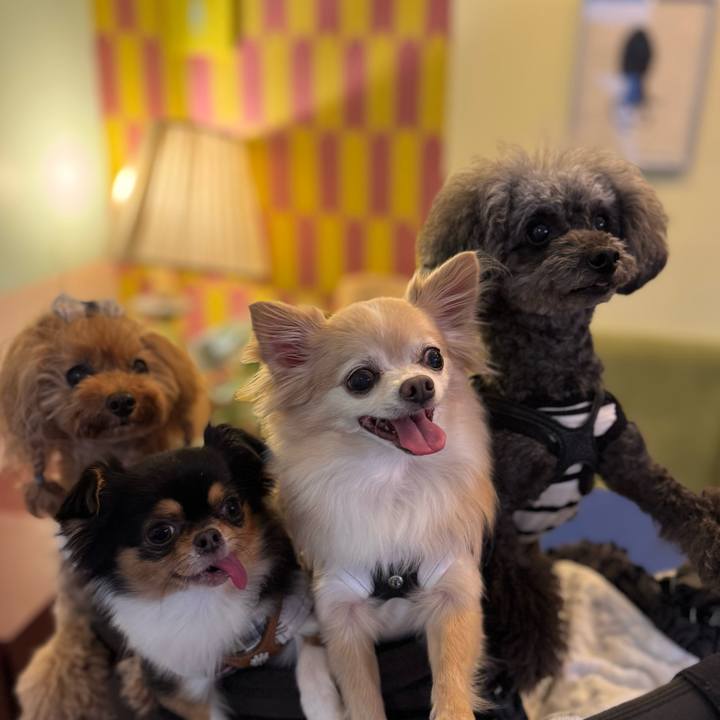 Bdac6621 c524 41bb 8815 087b97a771da 1760225824872