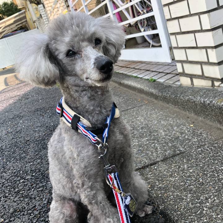 Bdac8220 792d 4086 b0e6 7b6277281983 1554108636566