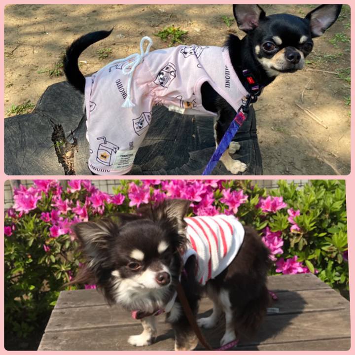 Bdacdcb0 fed8 429a a352 9b70f2c6e3ee 1587881795108