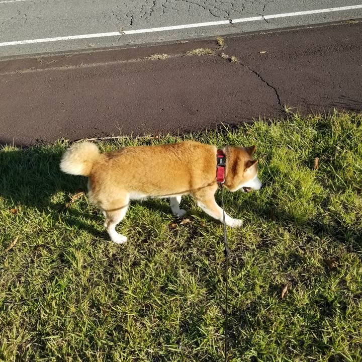 Bdace78b 71ef 45de ad2a d62de939a7d8 1728804424723