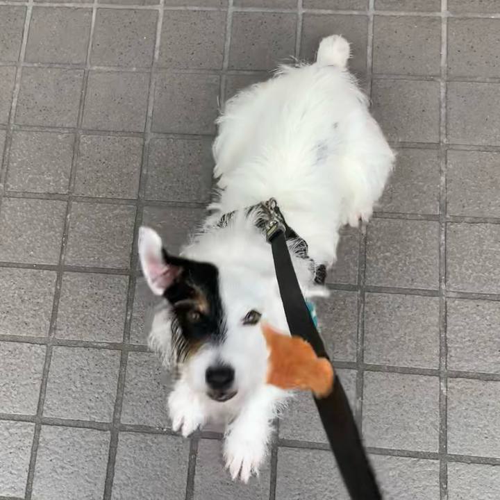 Bdaced1c 8098 4850 8f17 f193b7467534 1661502707289