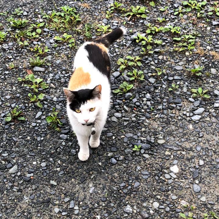 Bdad6246 cac5 4334 a270 b36facbfdd91 1624056126716