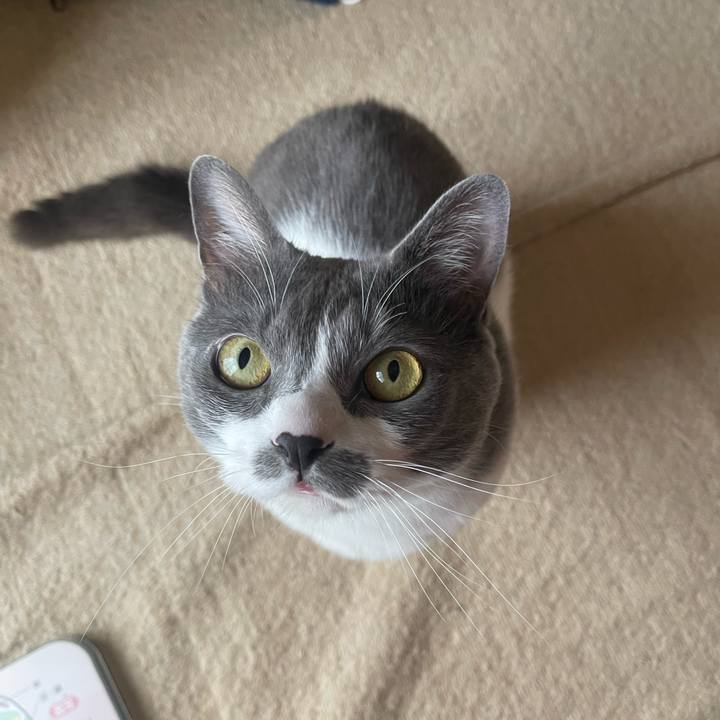 Bdad6824 3dc1 4675 8e10 f118bd159505 1748212783774