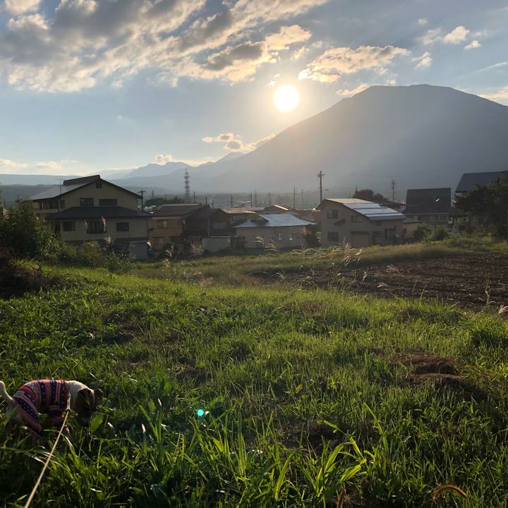 Bdad8926 5351 4f34 9a6b 40013a8e5063 1568456380952