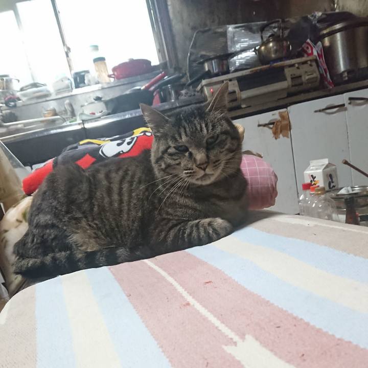 Bdad8e89 50cc 40bc 8db1 c69665869558 1654558240184