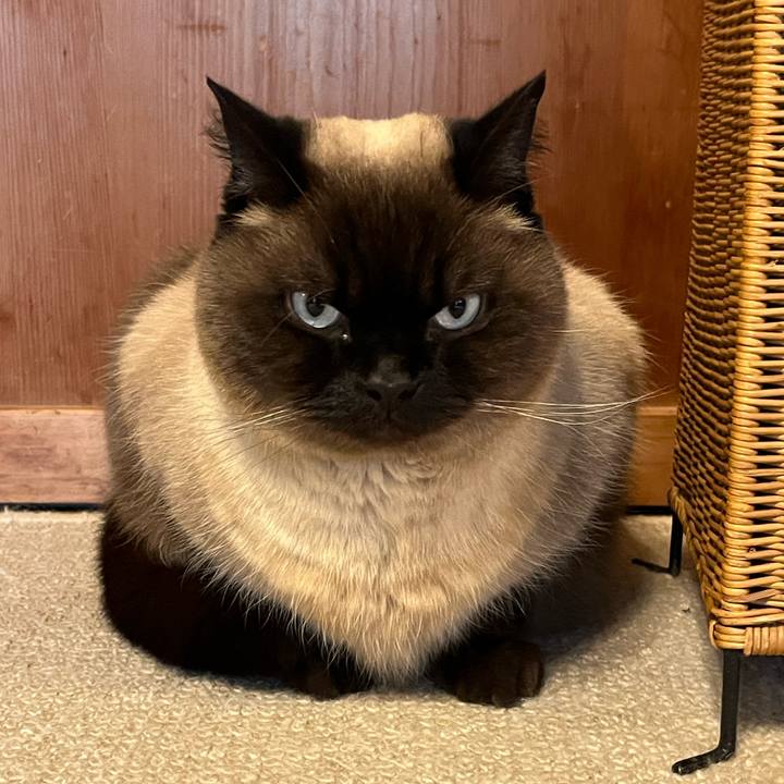 Bdad99d2 0640 403f 9107 97ec8177b405 1744284345116