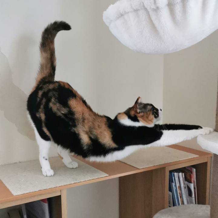 Bdad9c03 3d67 42e3 8b52 54cdbdb9d7cf 1681544899813