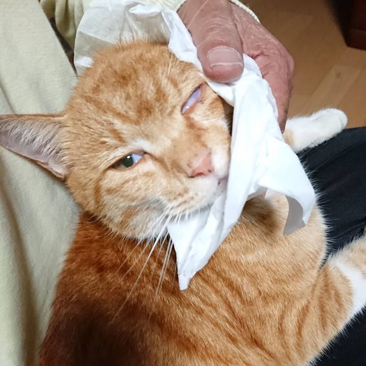 Bdadf9cc ad96 4a7b 8934 7336a15c6d8a 1603402746855