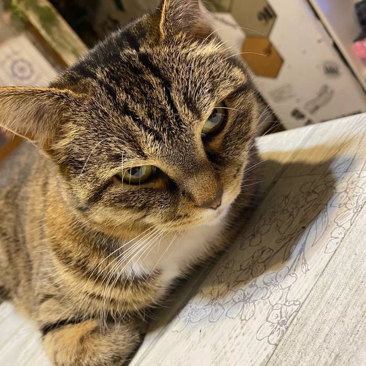 Bdae1aee 4356 4154 bb18 0e61f5f457e4 1619971313889