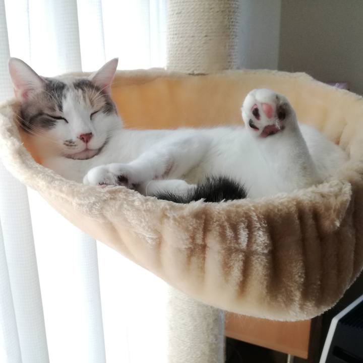 Bdae375a 9295 48ac 9bee f4d605998bfb 1541743392007