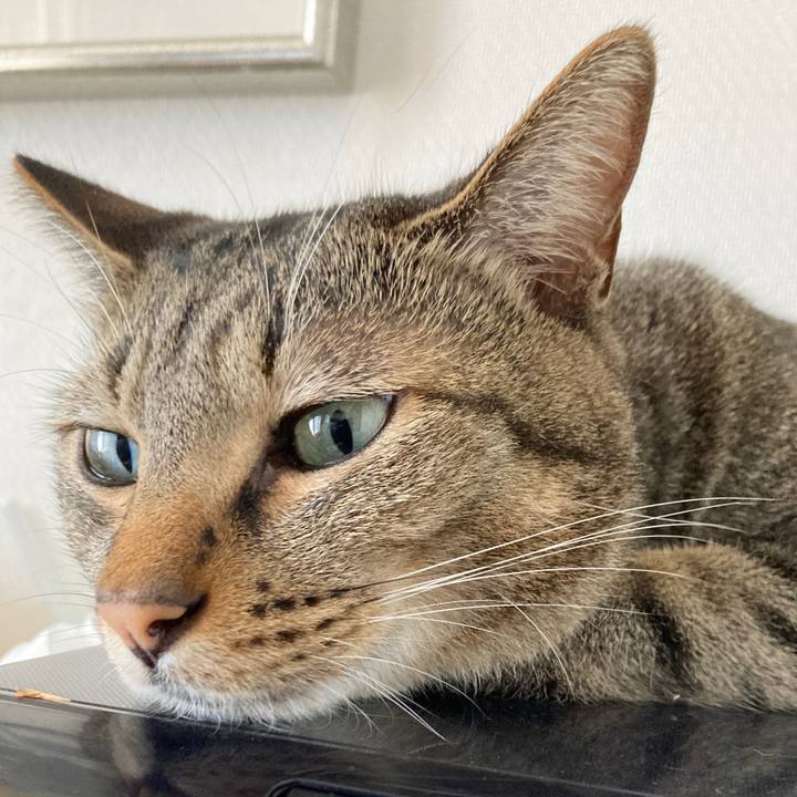 Bdae618f 2e12 46d2 8b04 b3b83987fda5 1758926885262