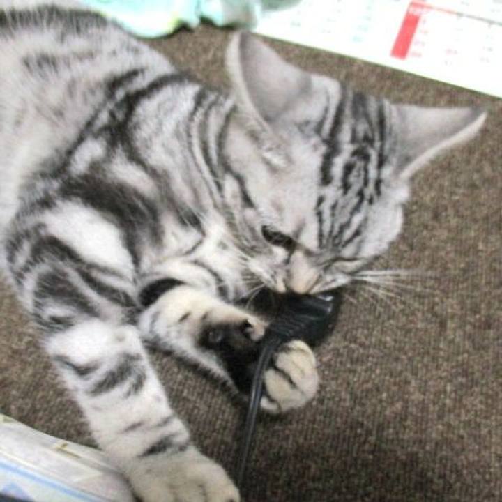 Bdae78ae 3227 4584 aa7d 441daa73a7fe 1540685373232