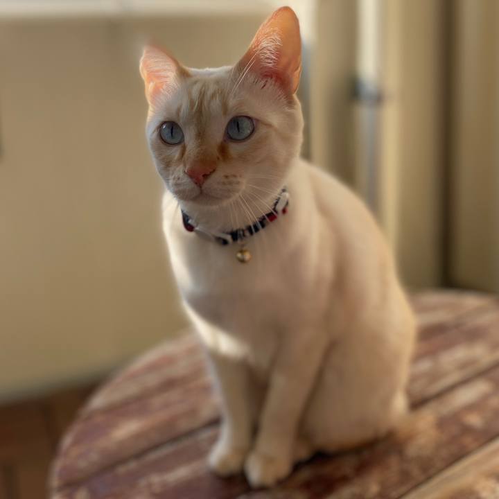 Bdae8eb0 d100 400c aeb9 4320a8d9f148 1641173651502