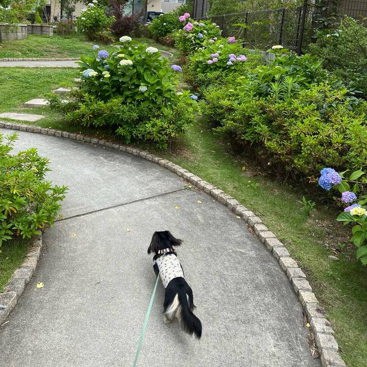 Bdae9572 7258 4314 88d0 b08d82782a4a 1717905800130