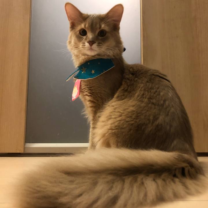 Bdaed11b df3e 413d 95e2 95e51804c07a 1558754484404