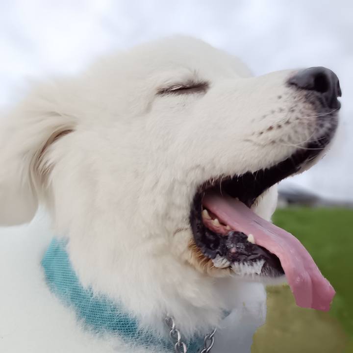 Bdaf1daa efa4 4025 beef 1ebd290b89fc 1720656770588