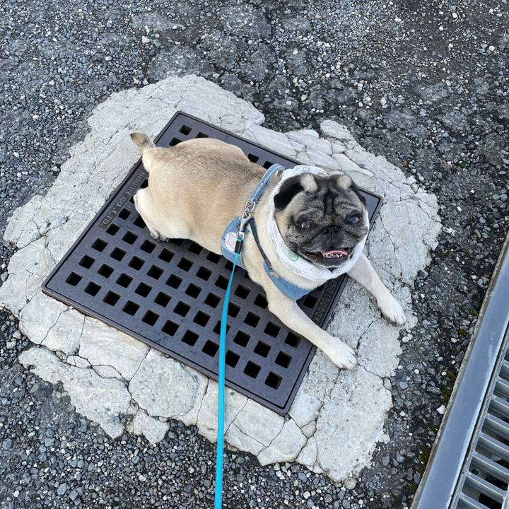 Bdaf7b50 6750 48cd 9c3e 3e21596fe6b0 1626046943098