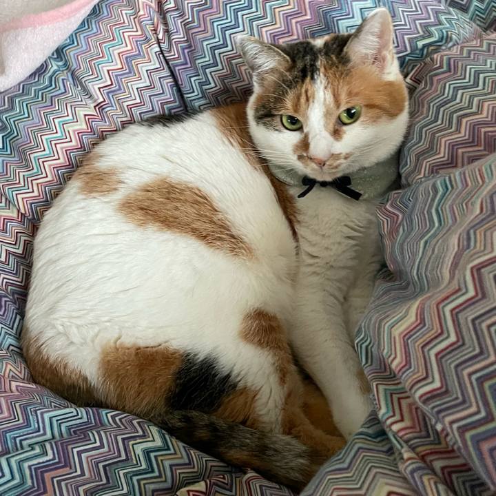 Bdaf97ad 2e29 4f48 b067 dd7bf160c929 1671867230910