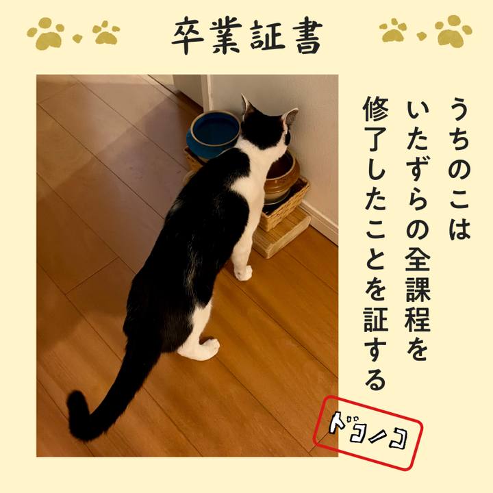 Bdafc911 b1d5 4488 9769 4bdf28a711b0 1772296492553