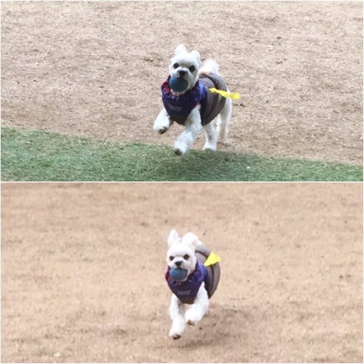 Bdafd917 3a97 45d5 936d 04427826e06c 1516270994407