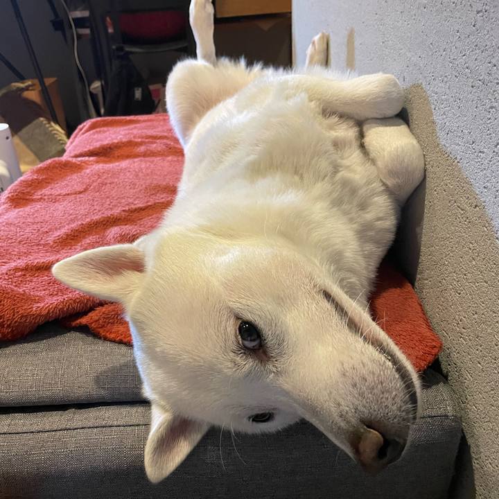 Bdafe0f8 e555 42d1 8ab6 dc5b6a49dd88 1642759371407