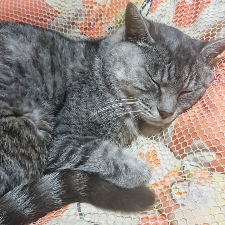 Bdafecea 5269 4f89 8651 ab7d7eb7e668 1572266047880