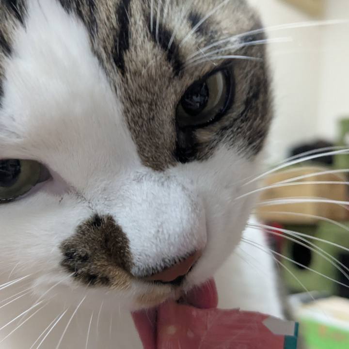 Bdb020d1 d2ab 4c64 bfad 5a0a00fe0f95 1767099181815