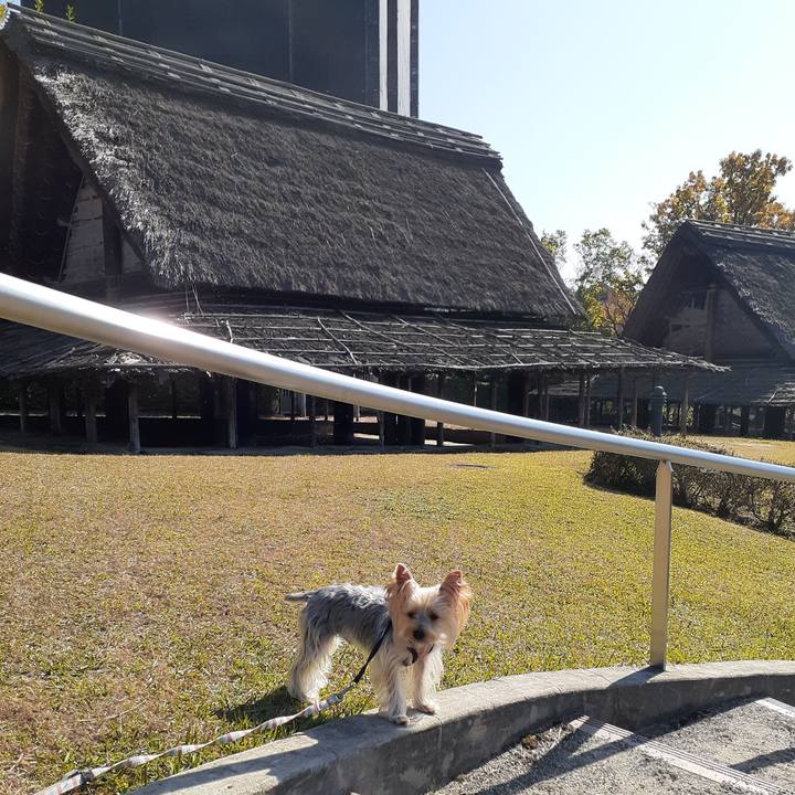 Bdb0242e 5024 430f 9d91 92fddc982544 1605754706084