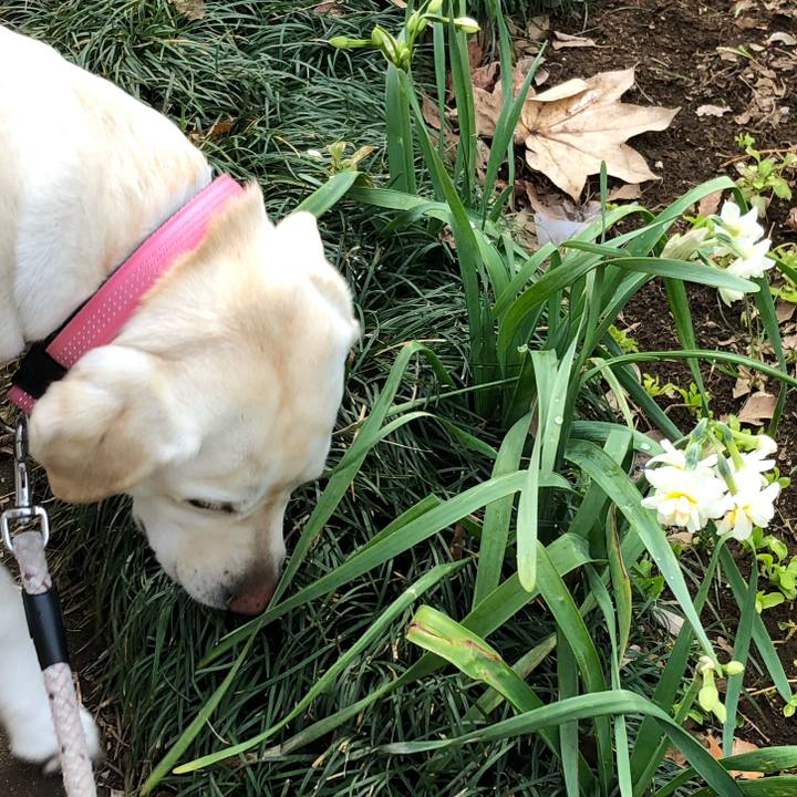 Bdb02a5f 282e 4eda 93d7 3cf5afa7716a 1581668387111