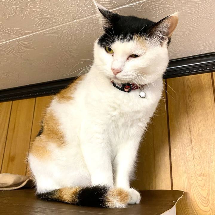 Bdb03e54 93d2 4e44 b209 53ad56b746ca 1666441660382