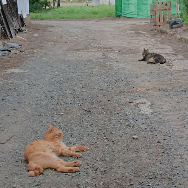 Bdb047bd 79d6 43e0 a39b 3f9b05117085 1660039645113