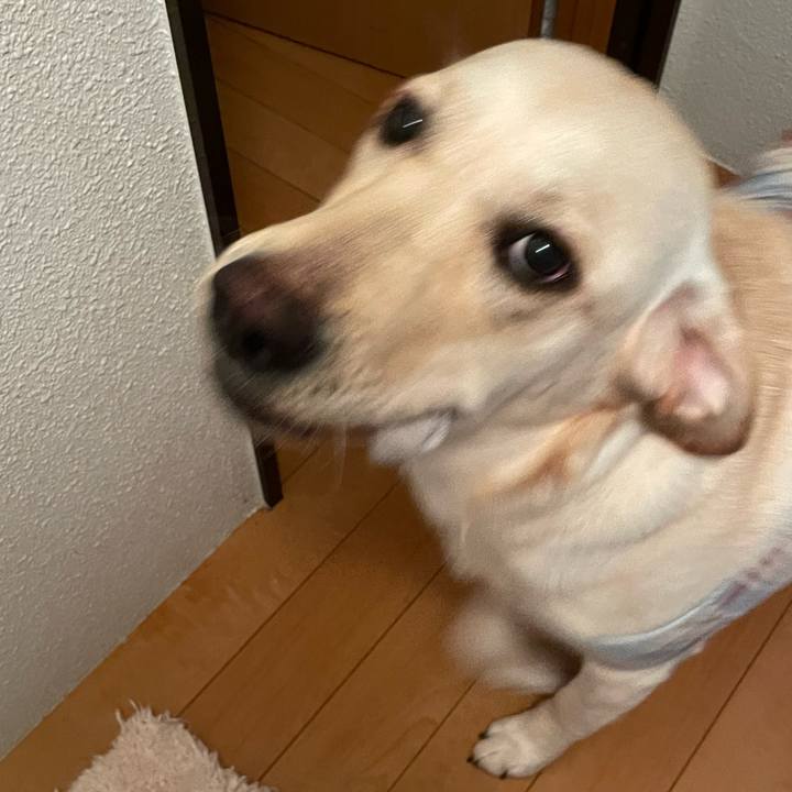 Bdb080ea b19f 4fcd 89f1 1a7604b1808b 1643148769512